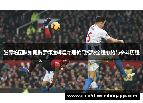 张德培团队如何携手缔造辉煌夺冠传奇揭秘全程心路与奋斗历程 张德培团队如何携手缔造辉煌夺冠传奇揭秘全程心路与奋斗历程