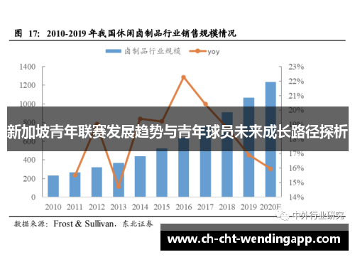 新加坡青年联赛发展趋势与青年球员未来成长路径探析 新加坡青年联赛发展趋势与青年球员未来成长路径探析