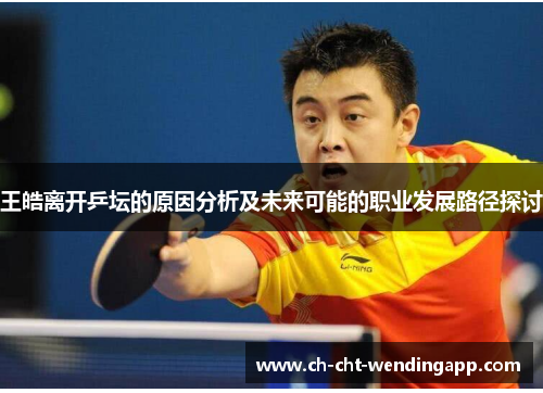 王皓离开乒坛的原因分析及未来可能的职业发展路径探讨