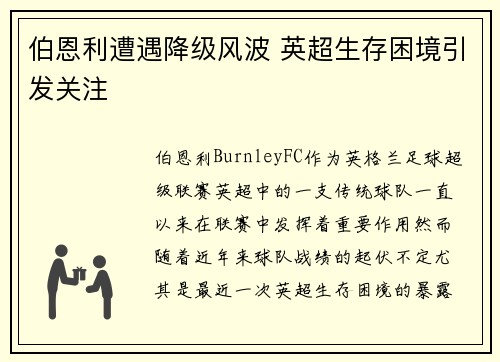 伯恩利遭遇降级风波 英超生存困境引发关注